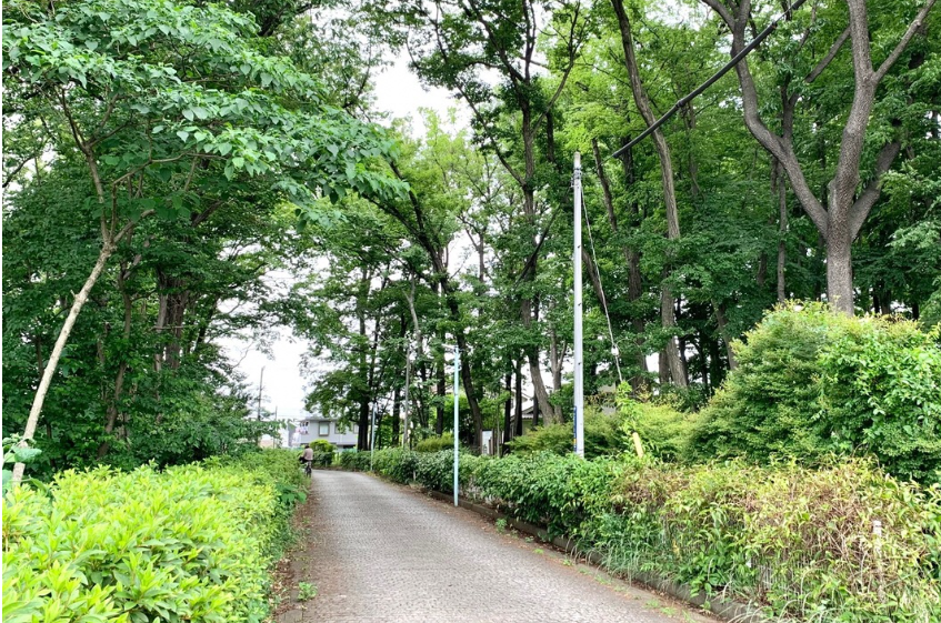 如水会「歩く会」参加者募集のお知らせです　【実施日：11月19日(木)】の紹介画像